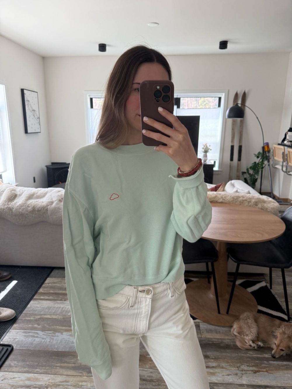 Frame Denim Mint Crewneck Sweatshirt